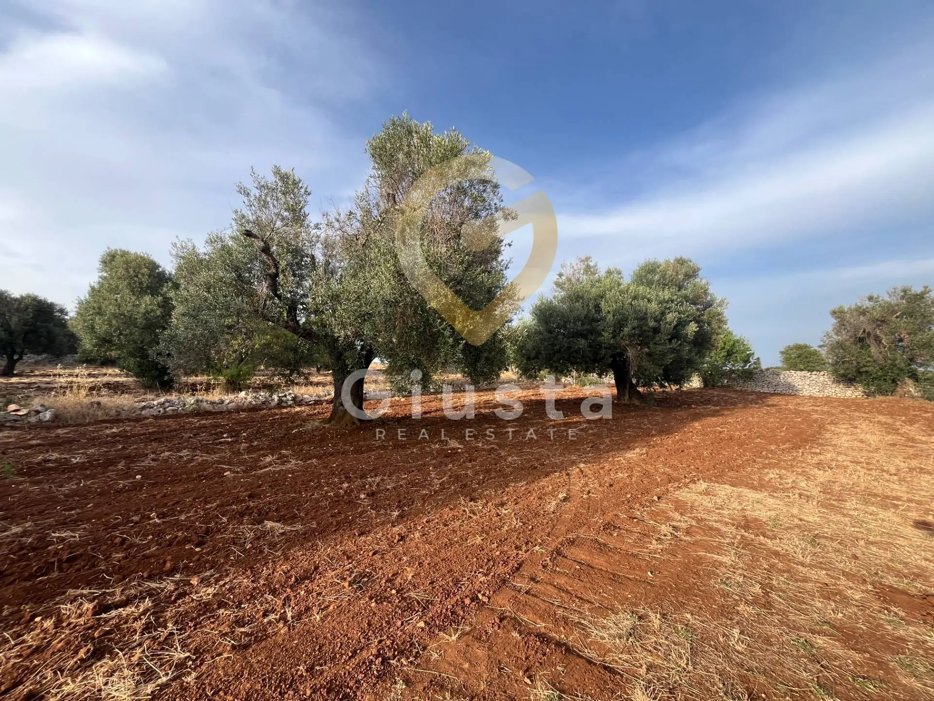 Immagine per Baita/Chalet/Trullo in vendita a Ceglie Messapica Strada Provinciale 28 snc