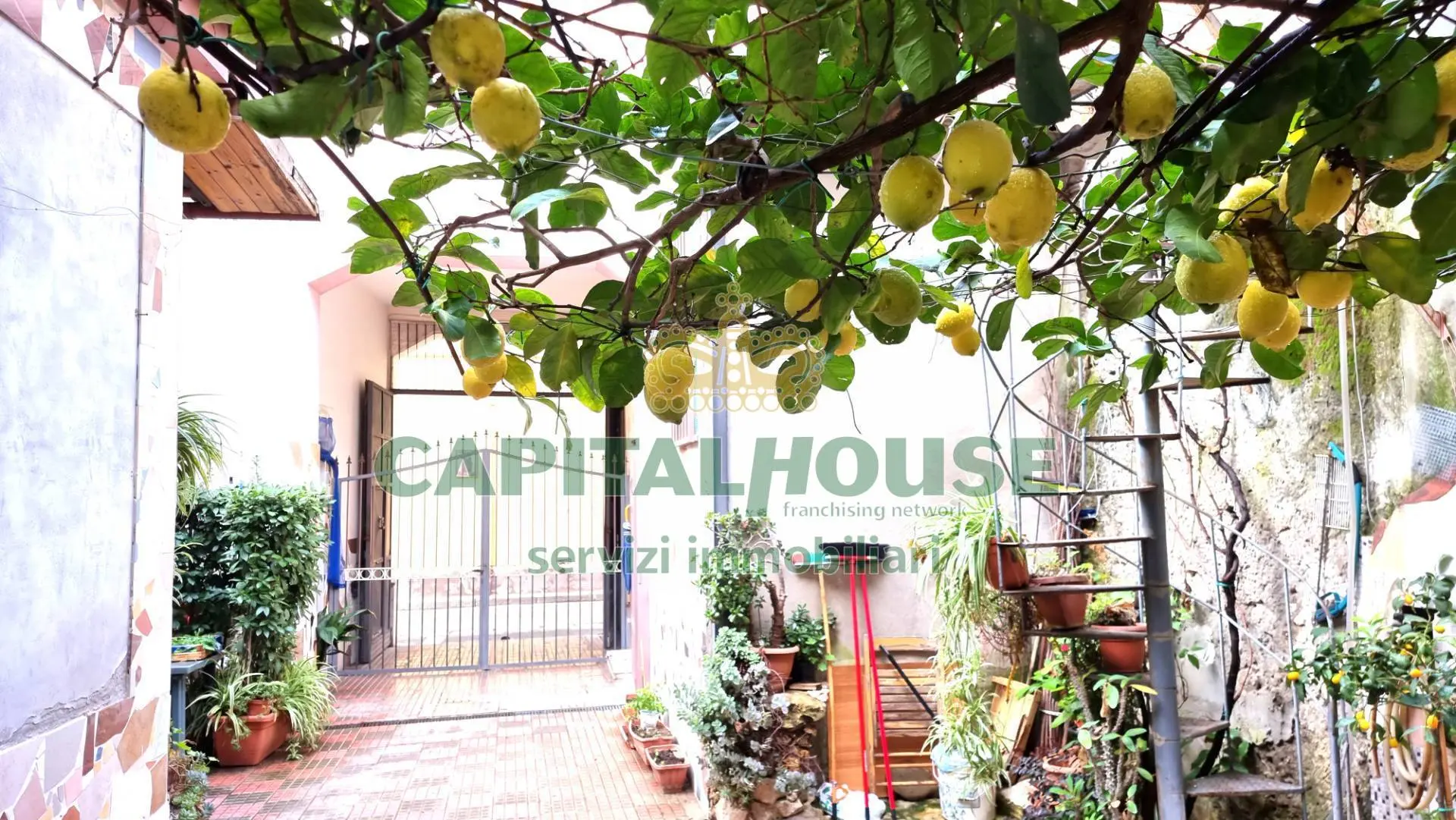 Immagine per Casa indipendente in vendita a San Tammaro  