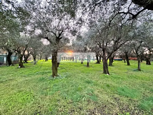 Casa Semindipendente via Barsanti 23, Seravezza