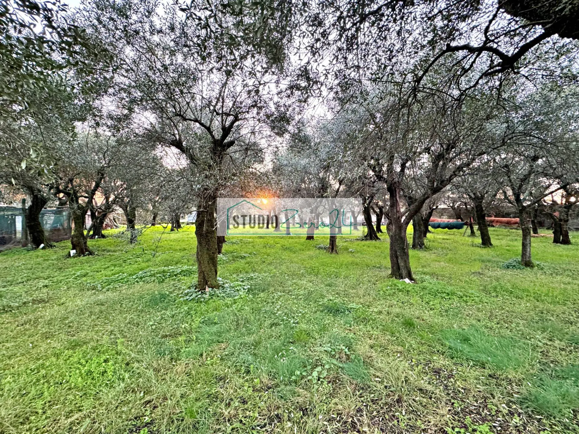 Immagine per Casa Semindipendente in vendita a Seravezza Via Barsanti 23