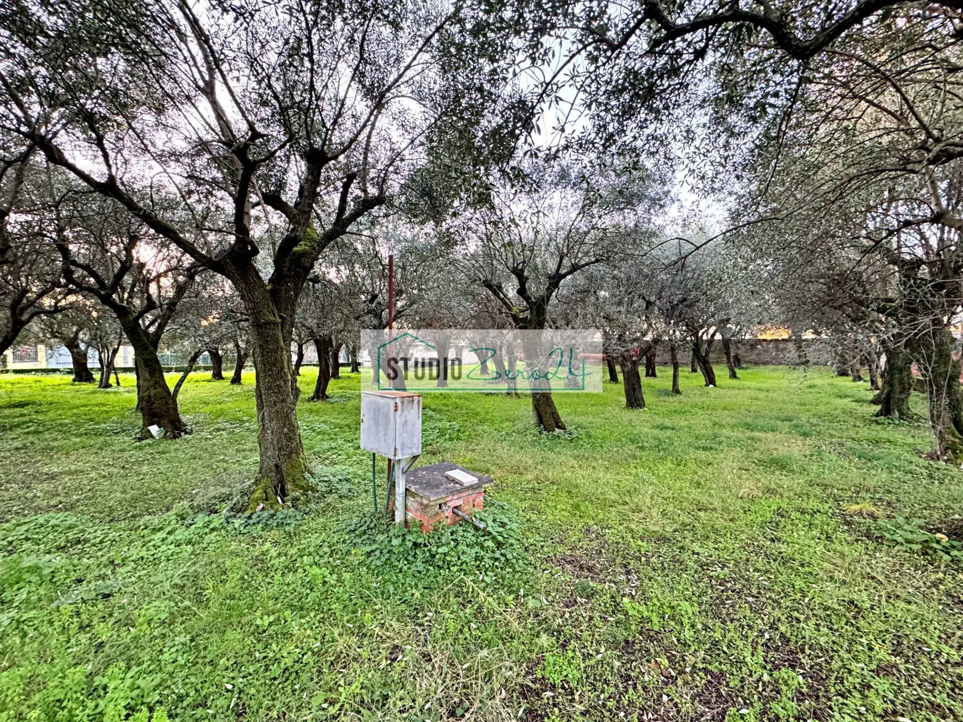 Immagine per Casa Semindipendente in vendita a Seravezza Via Barsanti 23