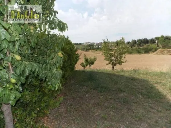 Casa Indipendente via Contrada San Lazzaro, Offida