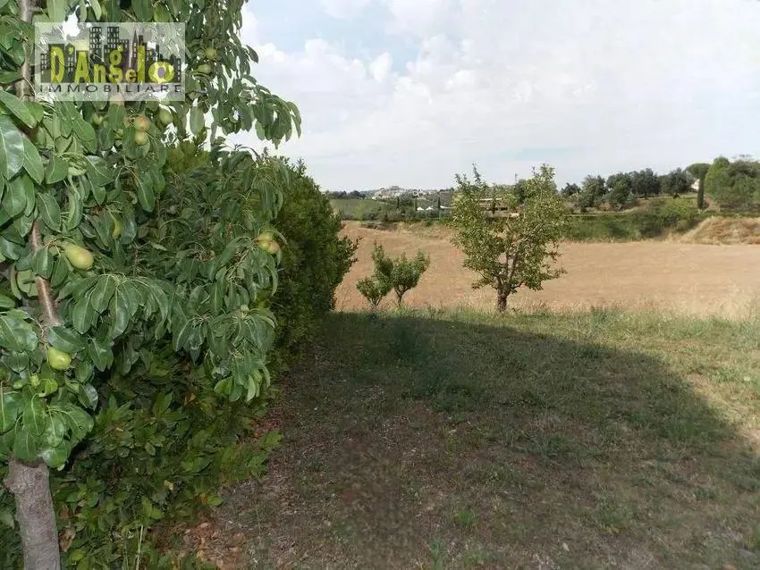 Immagine per Casa indipendente in vendita a Offida Contrada San Lazzaro 