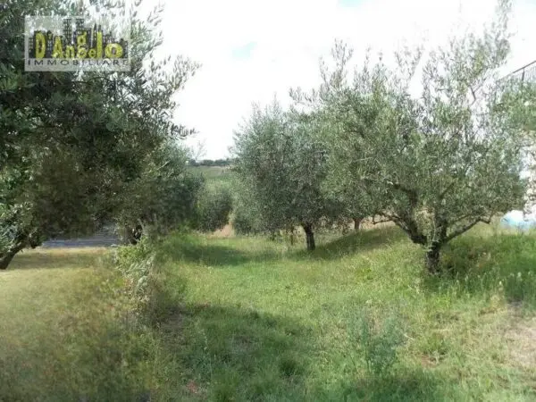 Casa Indipendente via Contrada San Lazzaro, Offida