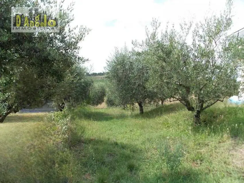 Immagine per Casa indipendente in vendita a Offida Contrada San Lazzaro 