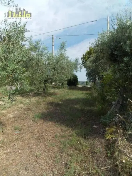 Casa Indipendente via Contrada San Lazzaro, Offida