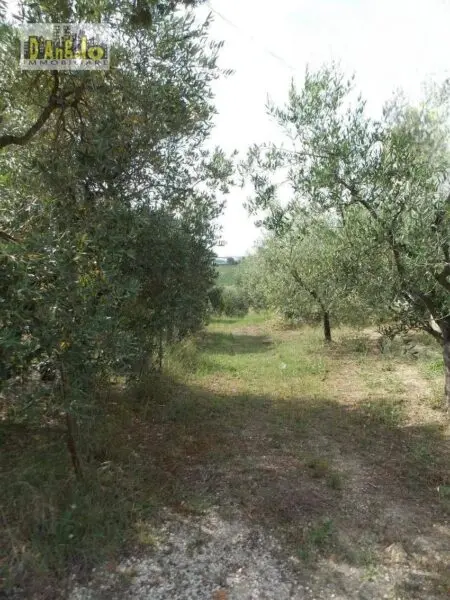 Casa Indipendente via Contrada San Lazzaro, Offida