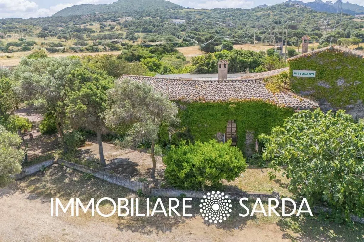 Immagine per Locale Commerciale in vendita a Padru SS 133 - Loc. Scopa 