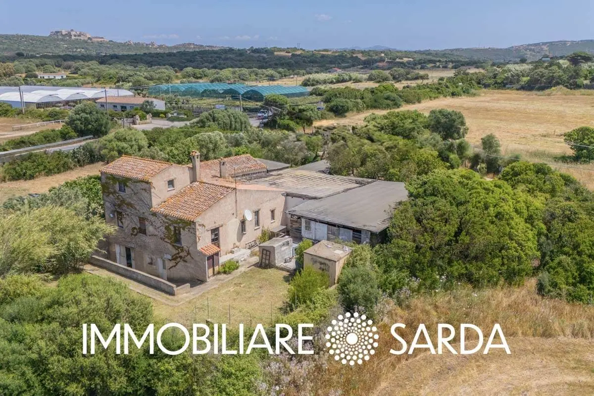 Immagine per Locale Commerciale in vendita a Padru SS 133 - Loc. Scopa 