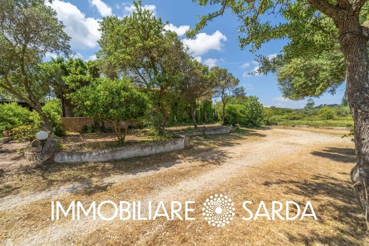 Immagine per Locale Commerciale in vendita a Padru SS 133 - Loc. Scopa 