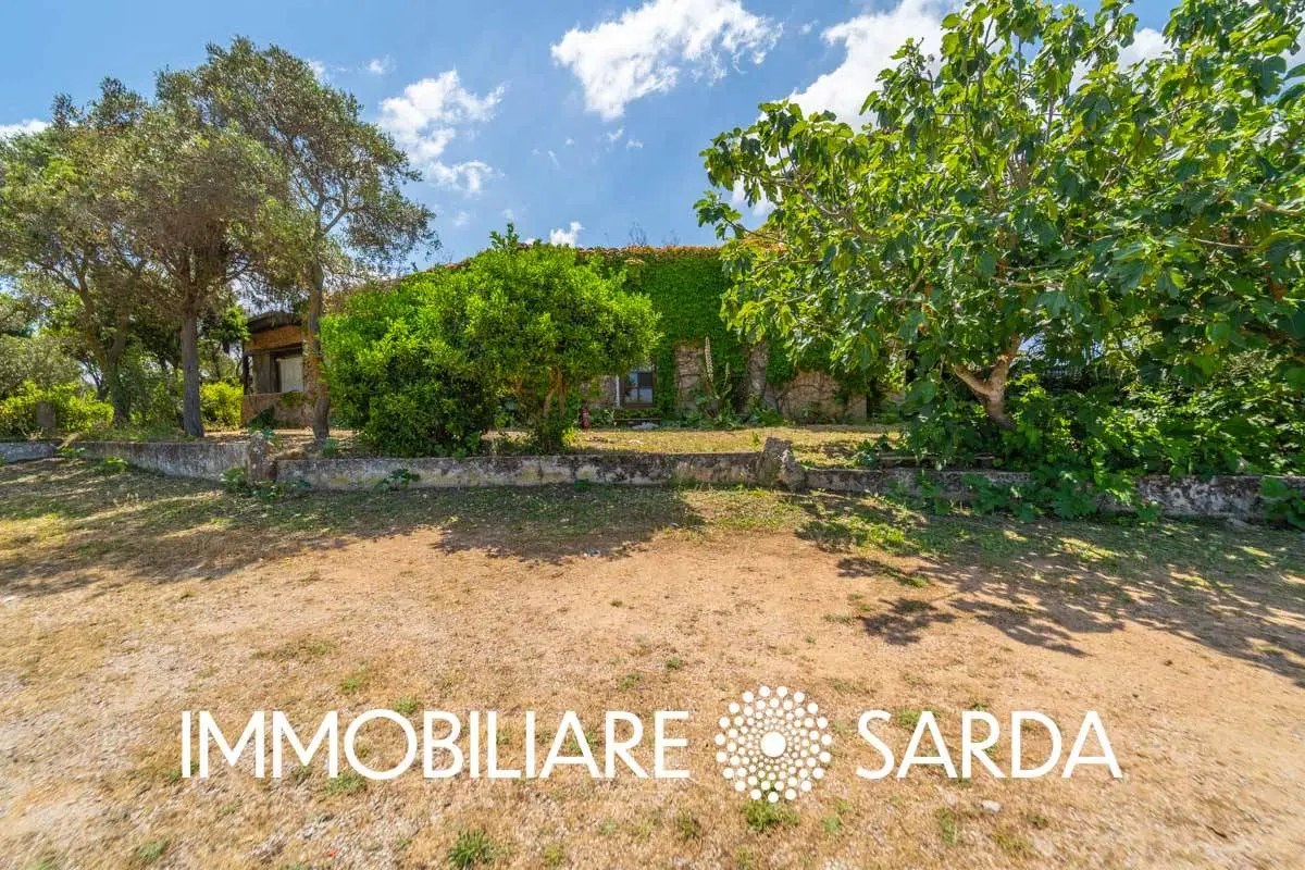 Immagine per Locale Commerciale in vendita a Padru SS 133 - Loc. Scopa 