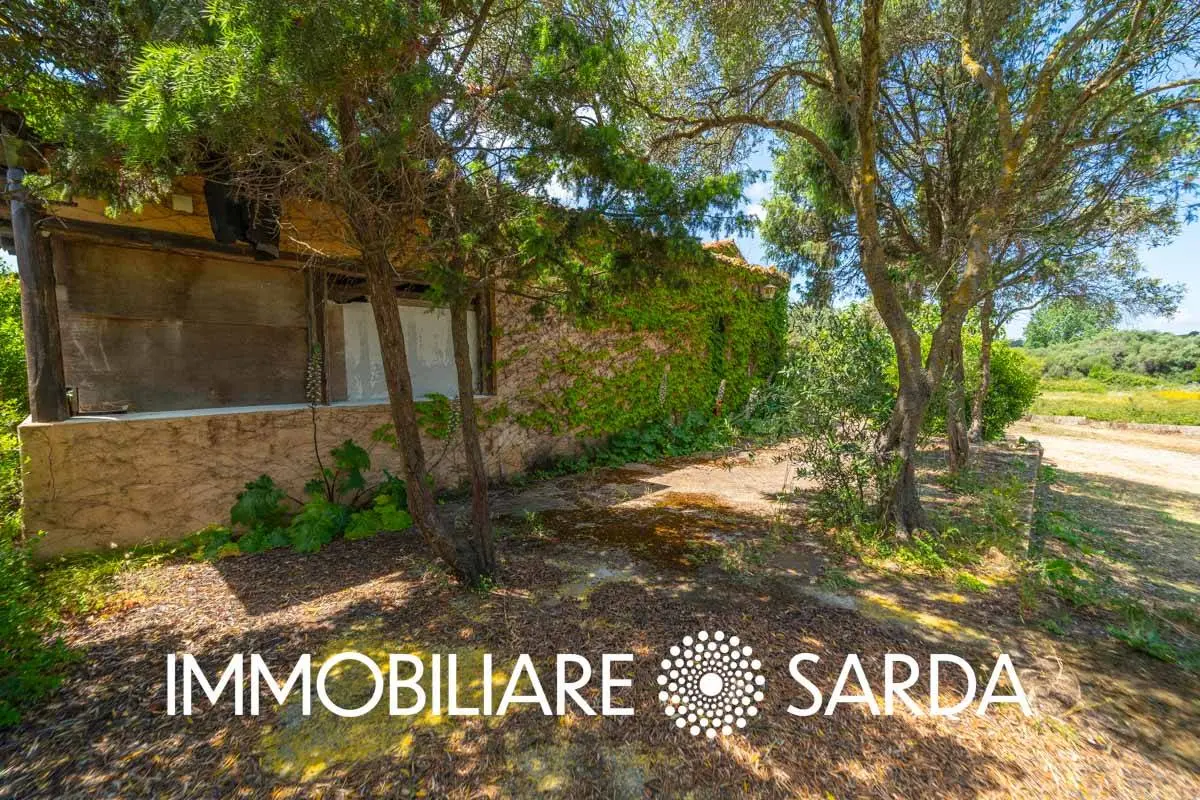 Immagine per Locale Commerciale in vendita a Padru SS 133 - Loc. Scopa 