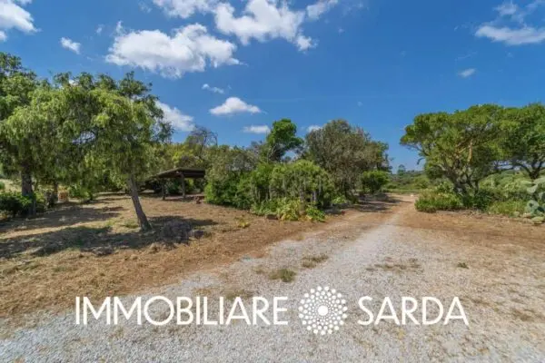Locale Commerciale SS 133 - Loc. Scopa, Padru