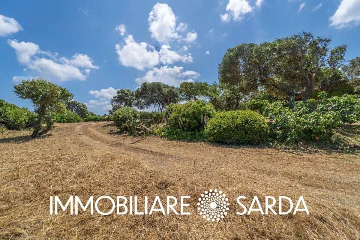 Immagine per Locale Commerciale in vendita a Padru SS 133 - Loc. Scopa 