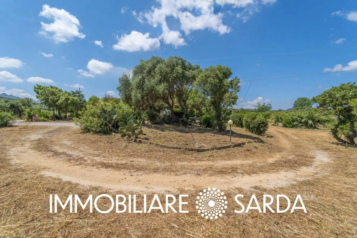 Immagine per Locale Commerciale in vendita a Padru SS 133 - Loc. Scopa 