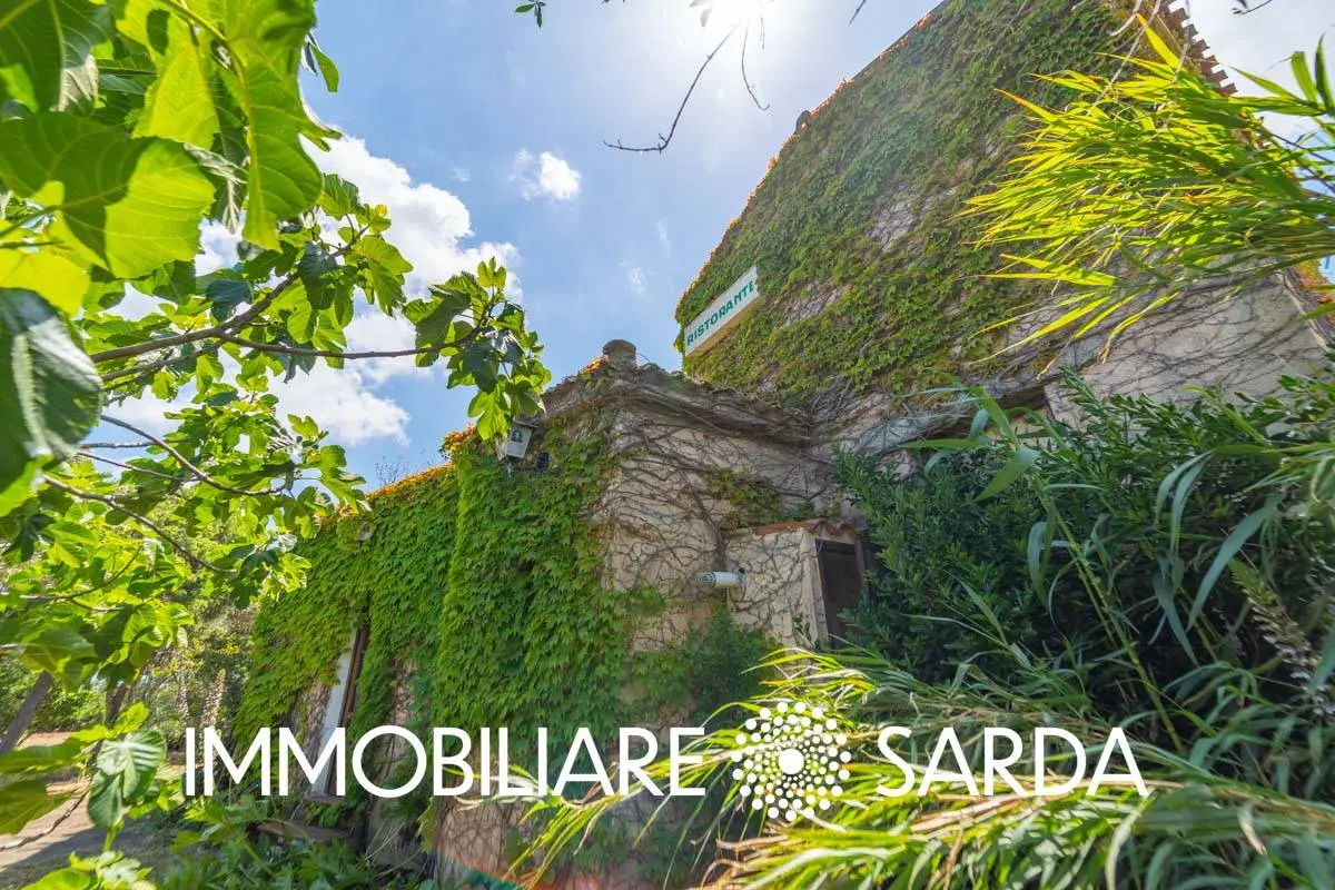 Immagine per Locale Commerciale in vendita a Padru SS 133 - Loc. Scopa 