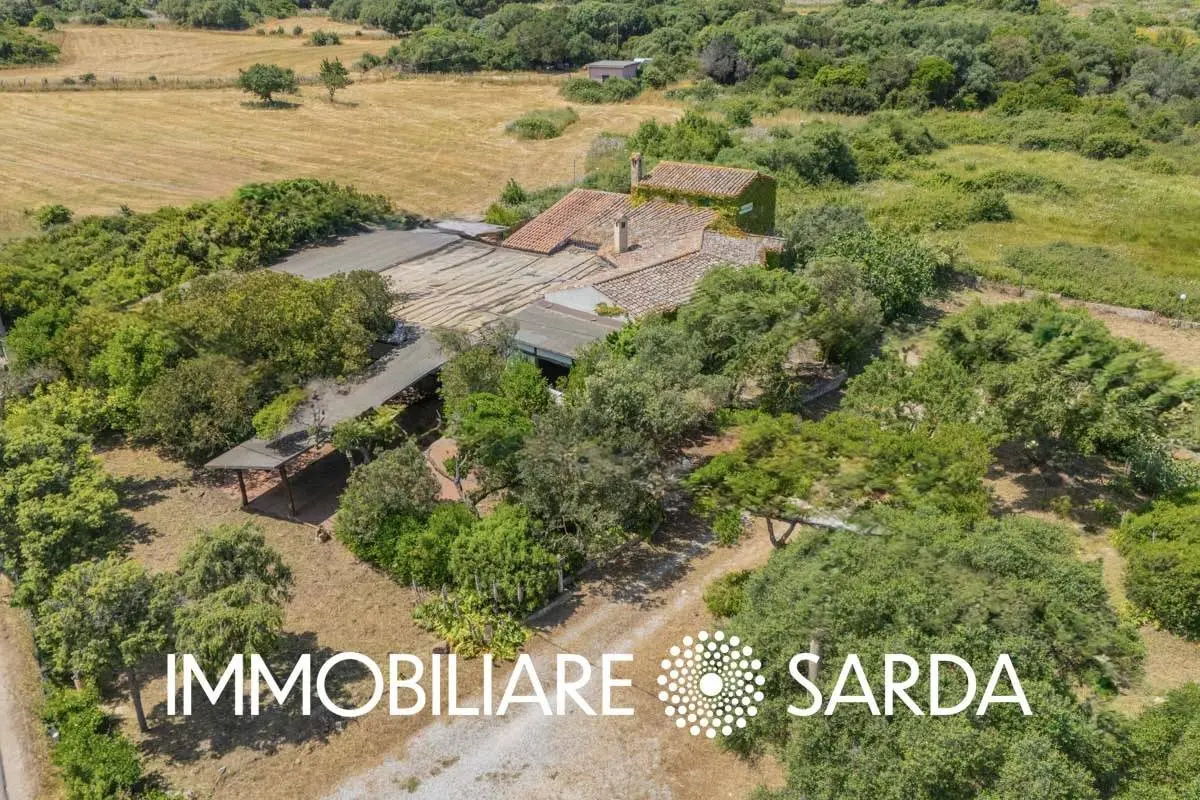 Immagine per Locale Commerciale in vendita a Padru SS 133 - Loc. Scopa 