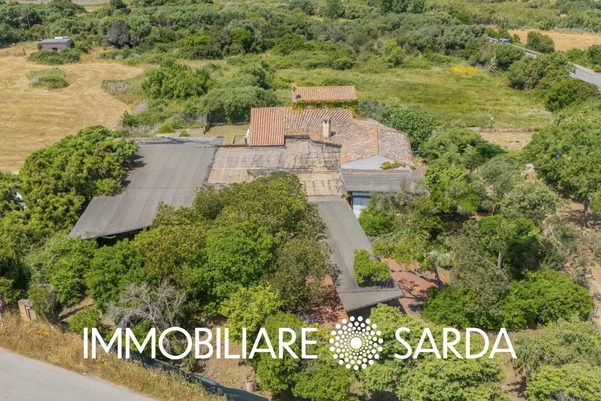 Immagine per Locale Commerciale in vendita a Padru SS 133 - Loc. Scopa 