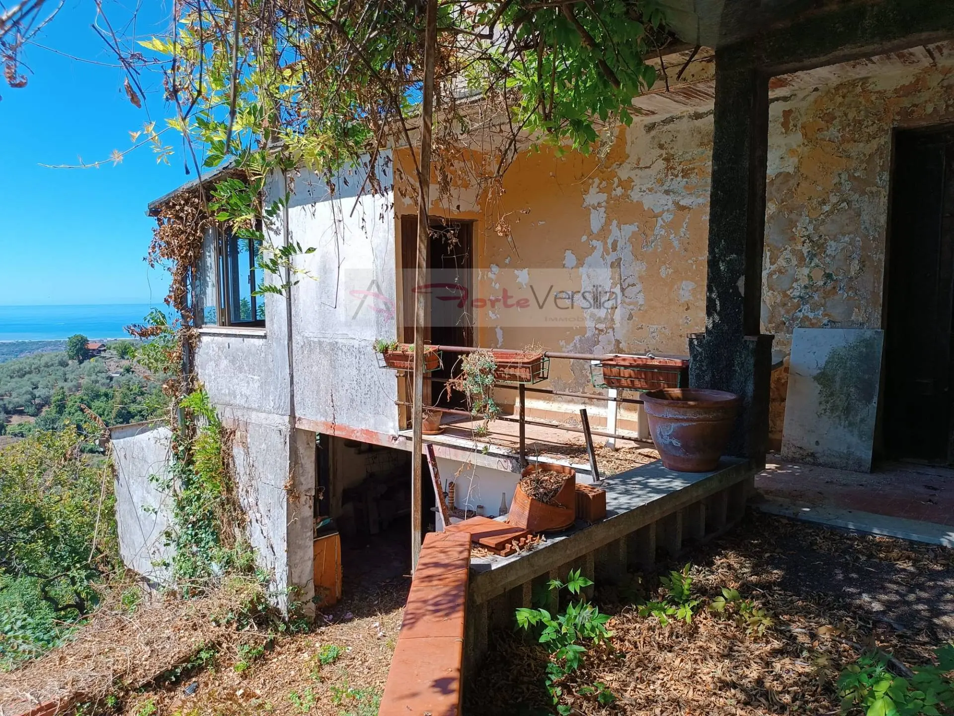 Immagine per Casa Semindipendente in vendita a Pietrasanta  