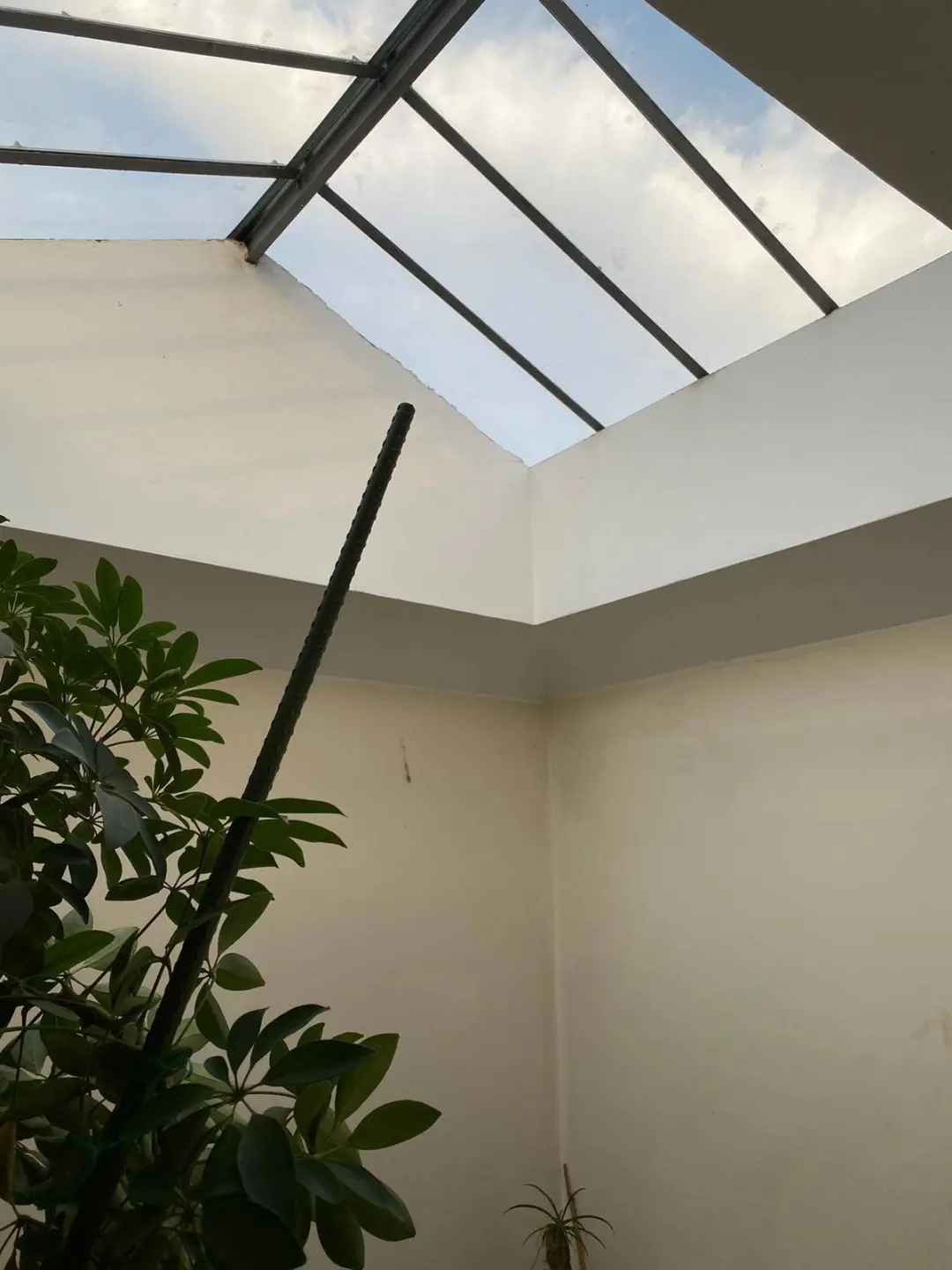 Immagine per Stabile/Palazzo in vendita a Modena Via Saragozza 