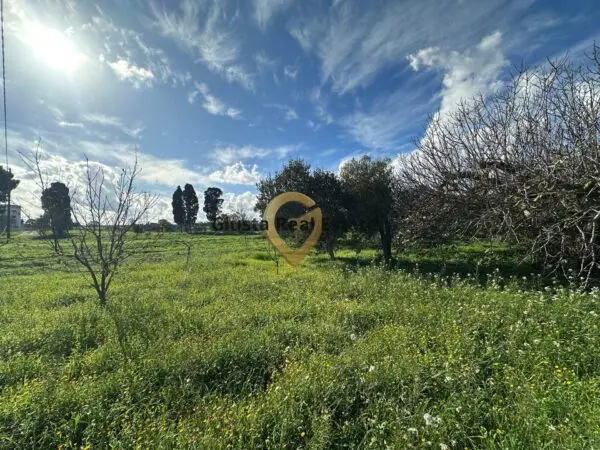 Rustico/Casale C.da Apani S N C, Brindisi