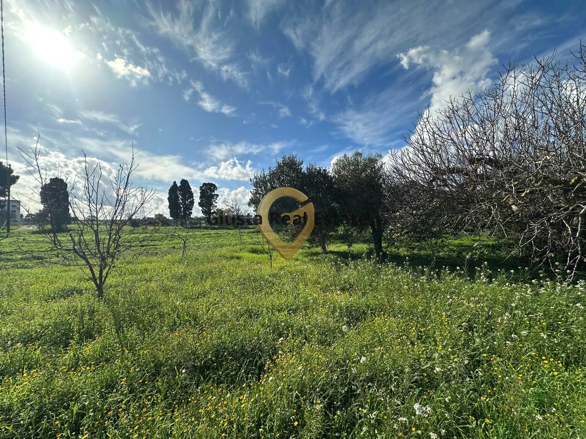 Immagine per Rustico/Casale in vendita a Brindisi C.da Apani s n c