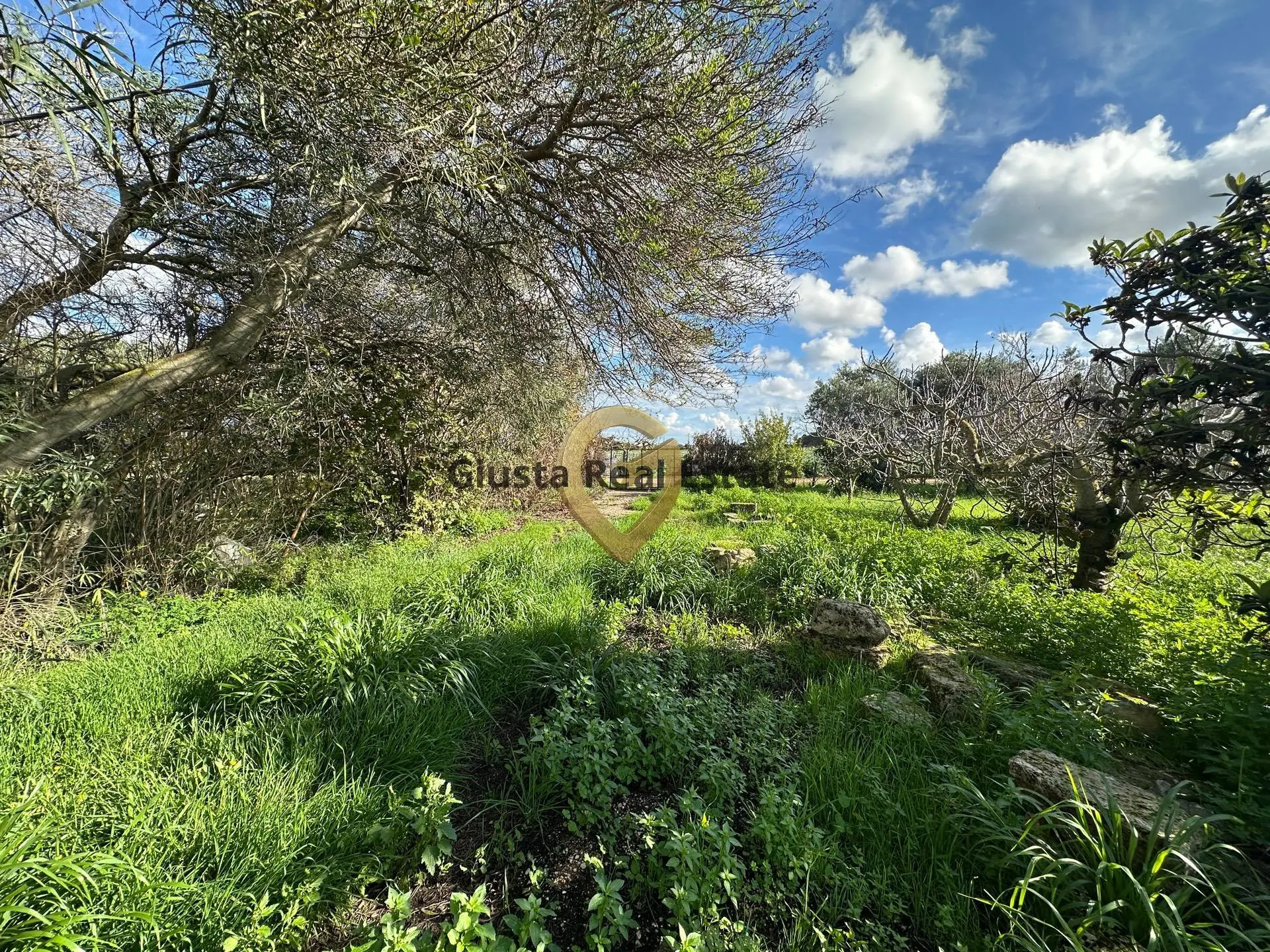 Immagine per Rustico/Casale in vendita a Brindisi C.da Apani s n c