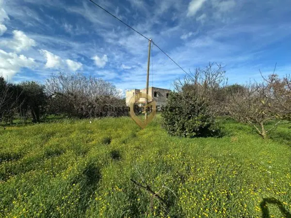 Rustico/Casale C.da Apani S N C, Brindisi
