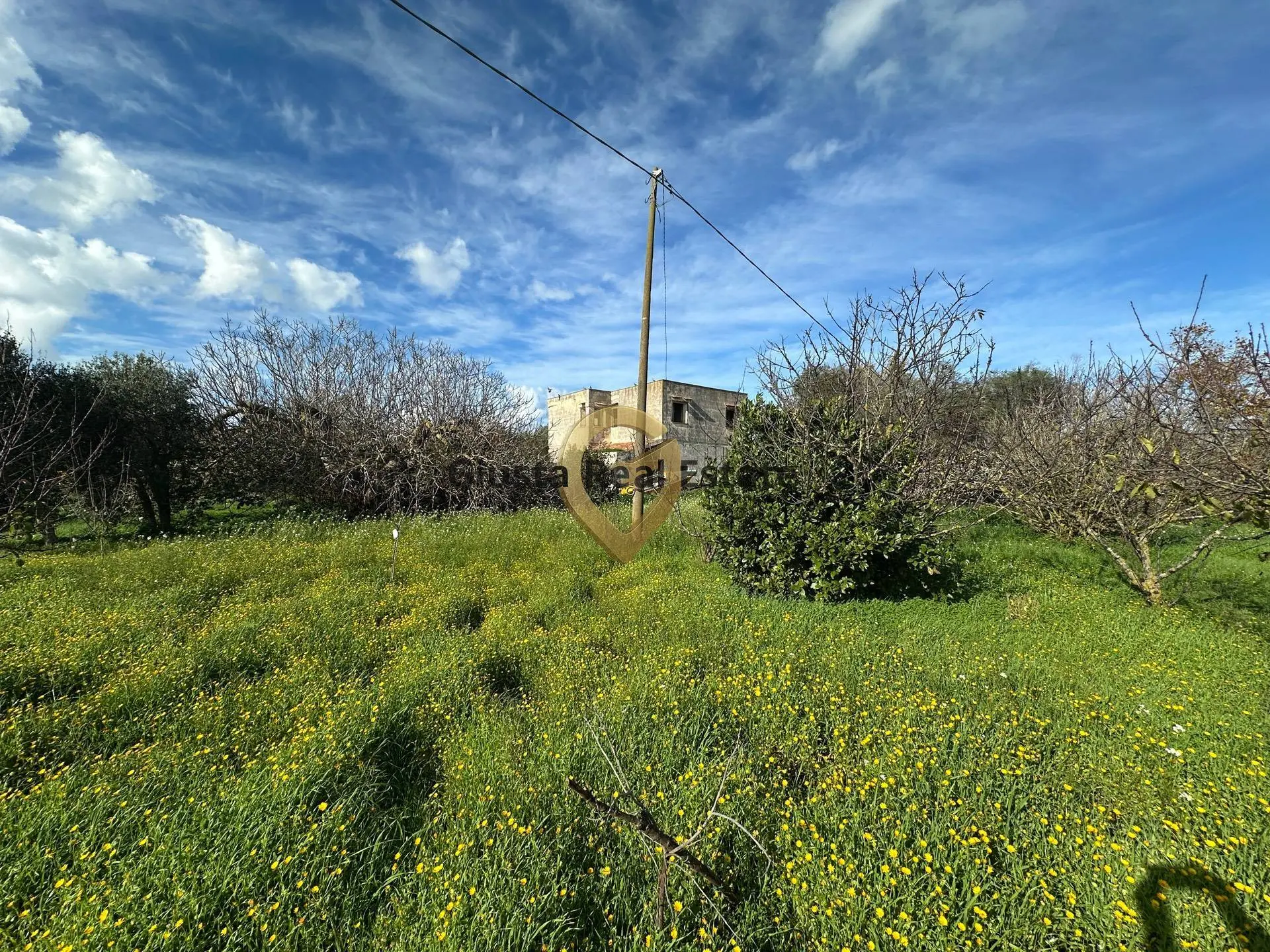Immagine per Rustico/Casale in vendita a Brindisi C.da Apani s n c