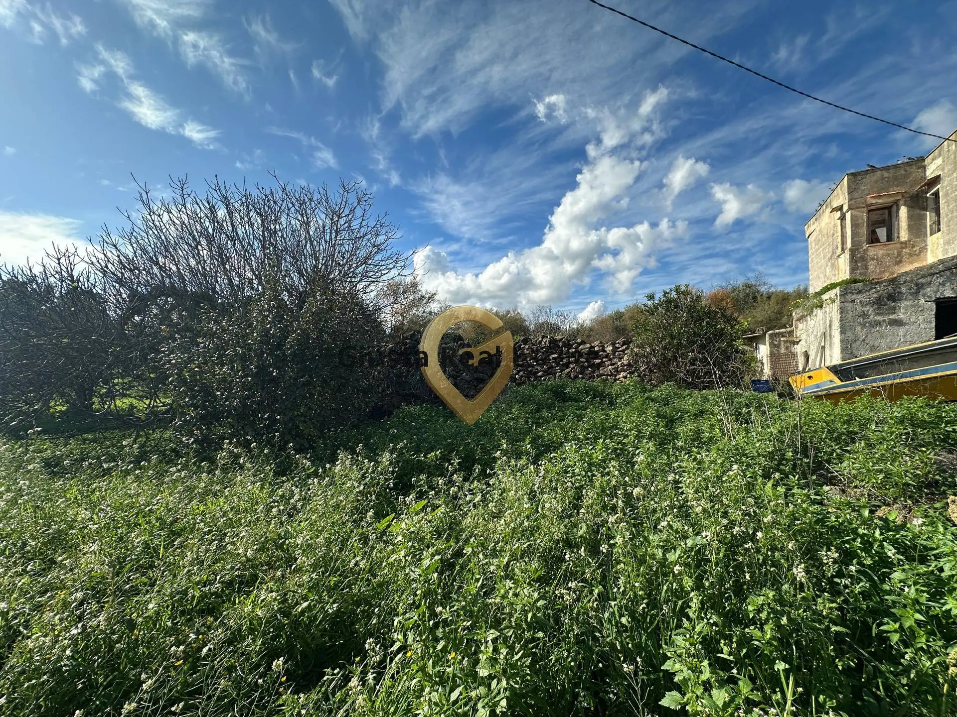 Immagine per Rustico/Casale in vendita a Brindisi C.da Apani s n c
