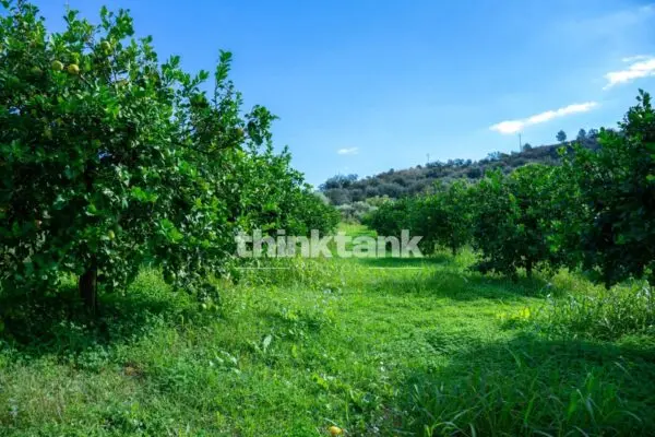 Rustico/Casale via Della Ginestra, Avola