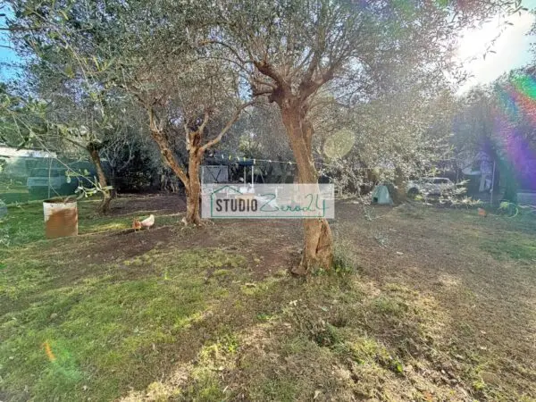 Casa Semindipendente via Degli Ulivi, Seravezza