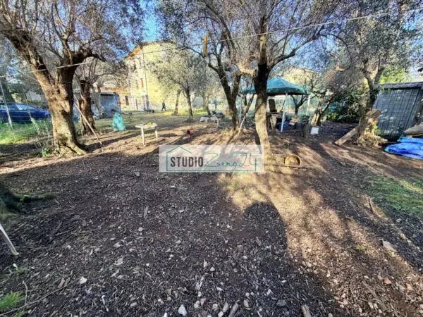 Casa Semindipendente via Degli Ulivi, Seravezza