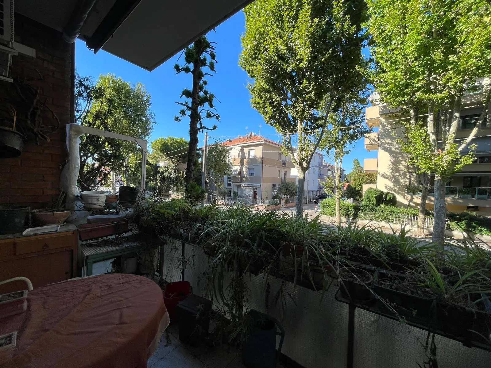 Immagine per Appartamento in vendita a Rimini Via Del Passero 
