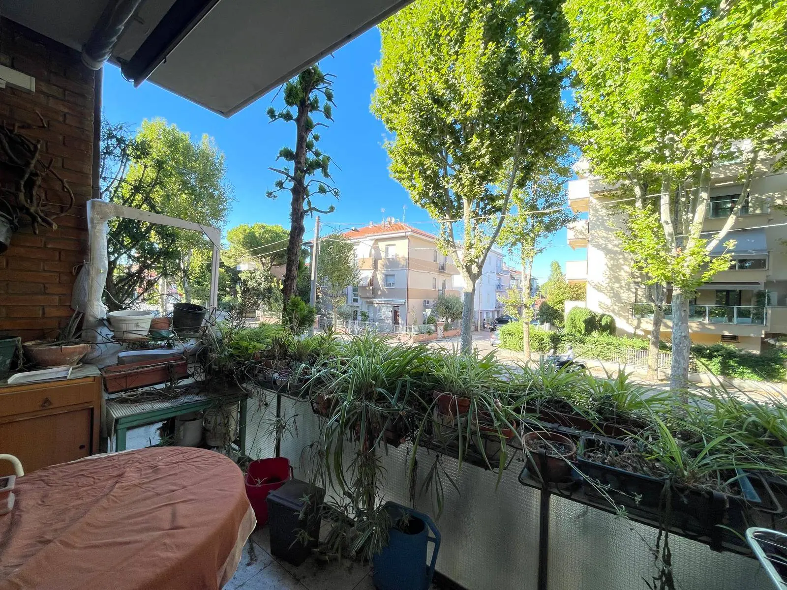 Immagine per Appartamento in vendita a Rimini Via Del Passero 