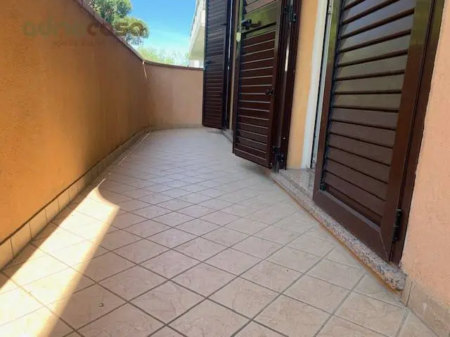 Immagine per Appartamento in affitto a Riccione Viale Tasso 