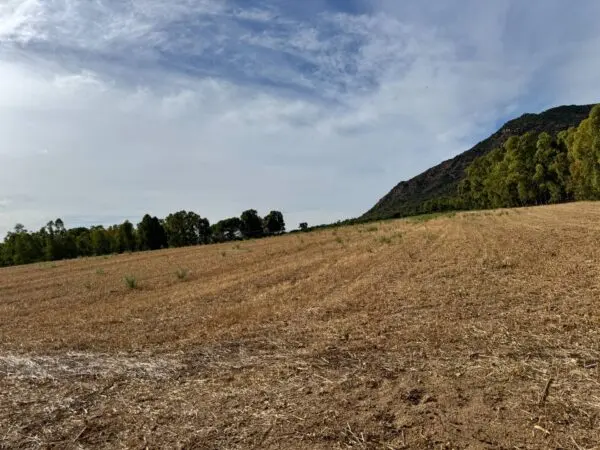 Terreno Agricolo Strada Dell'Erica, Villasalto