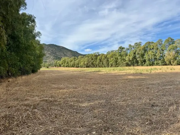 Terreno Agricolo Strada Dell'Erica, Villasalto