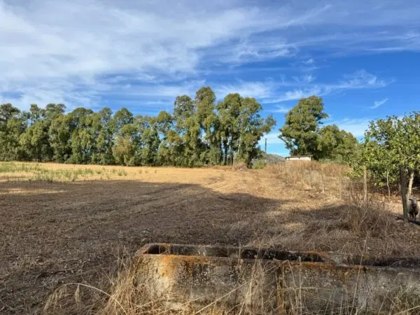 Terreno Agricolo Strada Dell'Erica, Villasalto