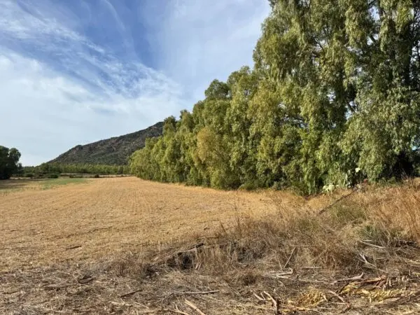Terreno Agricolo Strada Dell'Erica, Villasalto