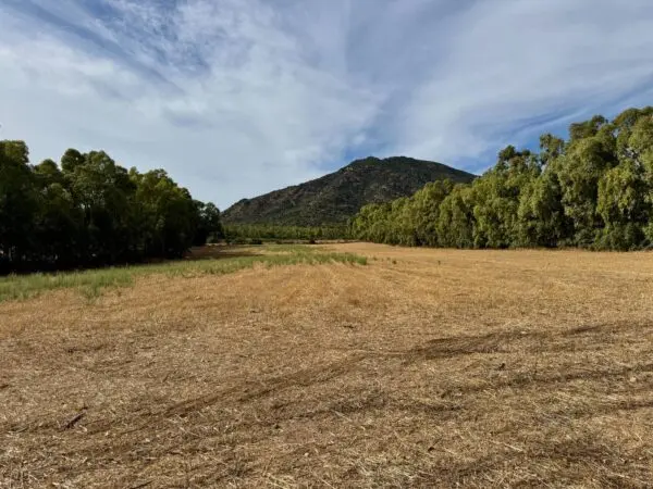 Terreno Agricolo Strada Dell'Erica, Villasalto