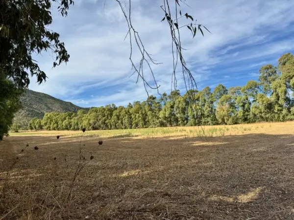 Terreno Agricolo Strada Dell'Erica, Villasalto