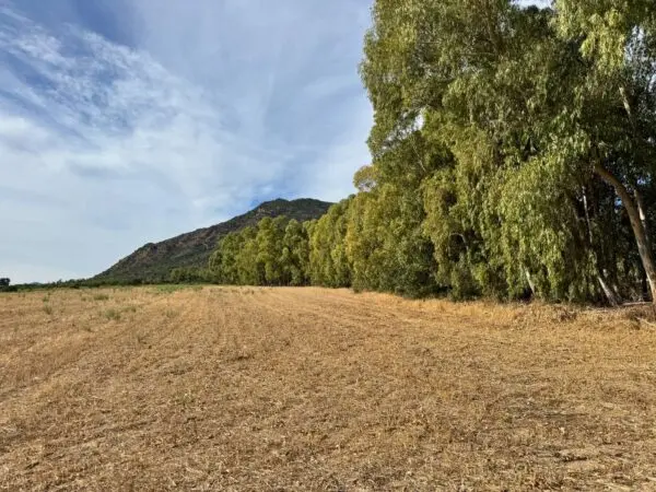 Terreno Agricolo Strada Dell'Erica, Villasalto