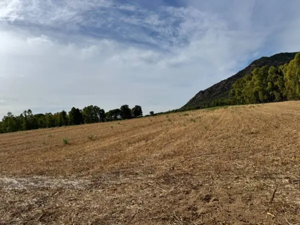 Terreno Agricolo Strada Dell'Erica, Villasalto