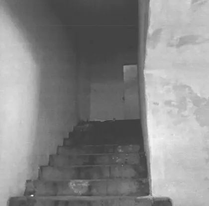Villa via Xv Febbraio Snc, Follo