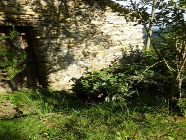 Terratetto via Arbocò 5, Rapallo