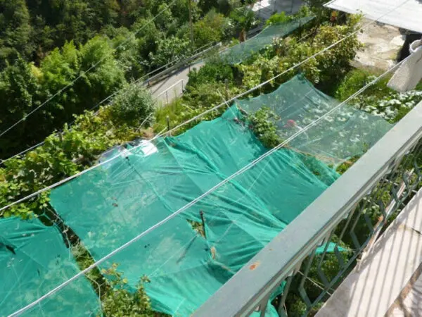 Terratetto via Arbocò 5, Rapallo
