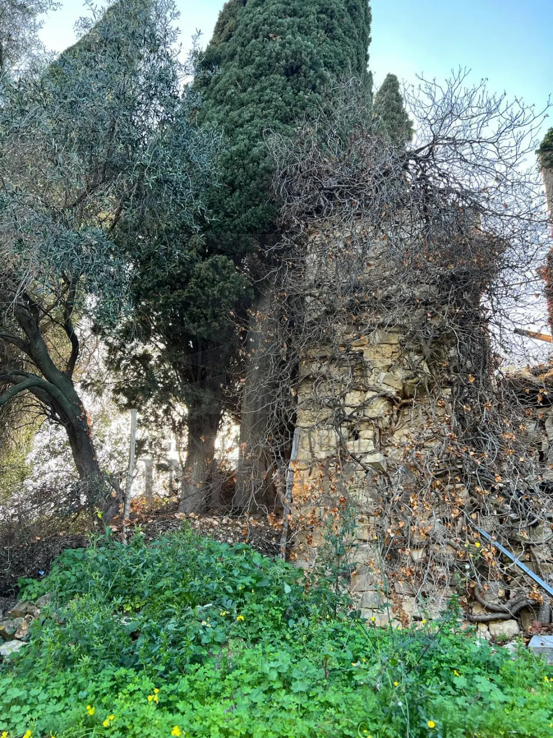 Immagine per Villa in vendita a Bordighera via Silvio Peglio snc