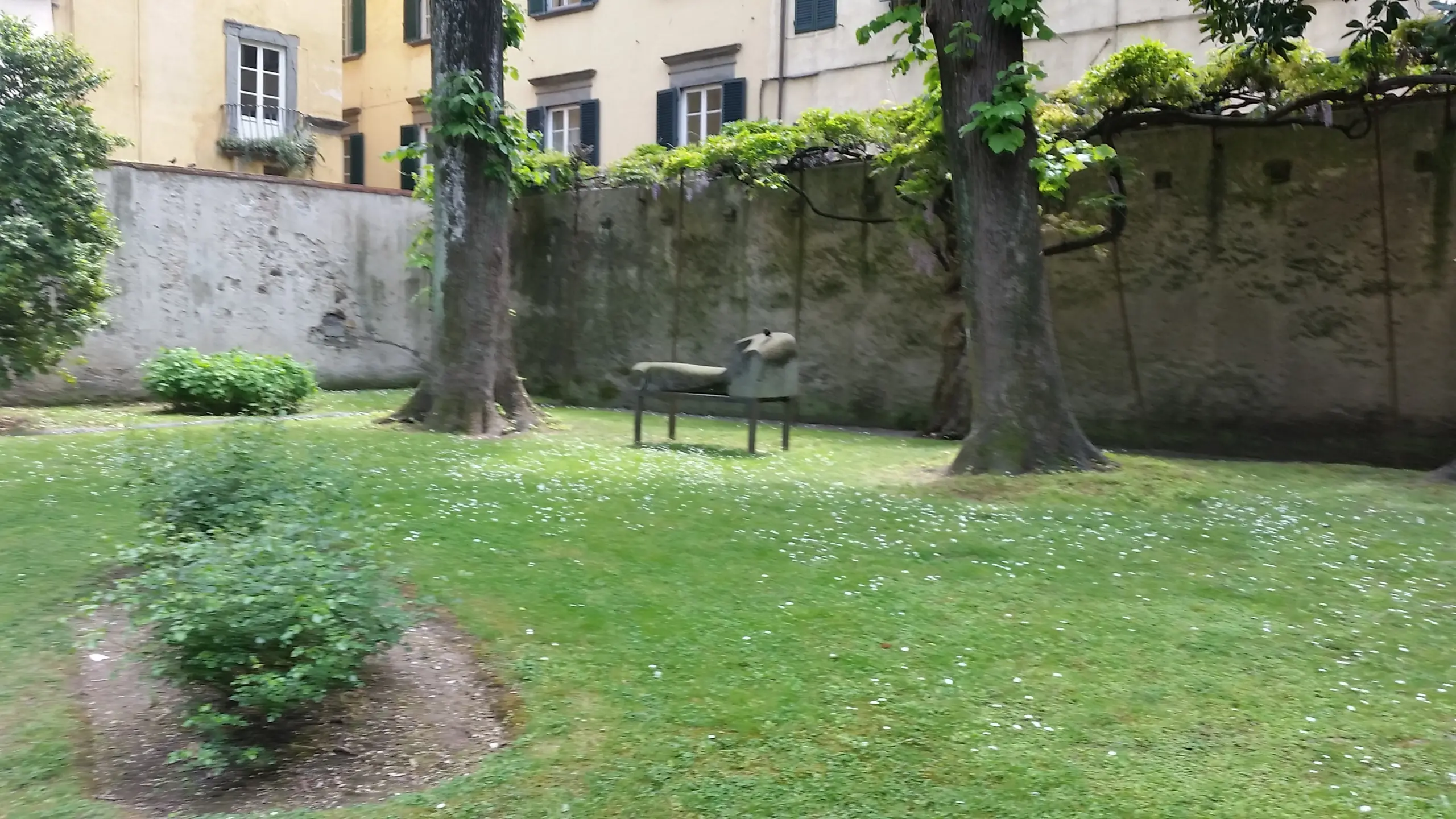 Immagine per Show Room in affitto a Lucca via Giarinetto