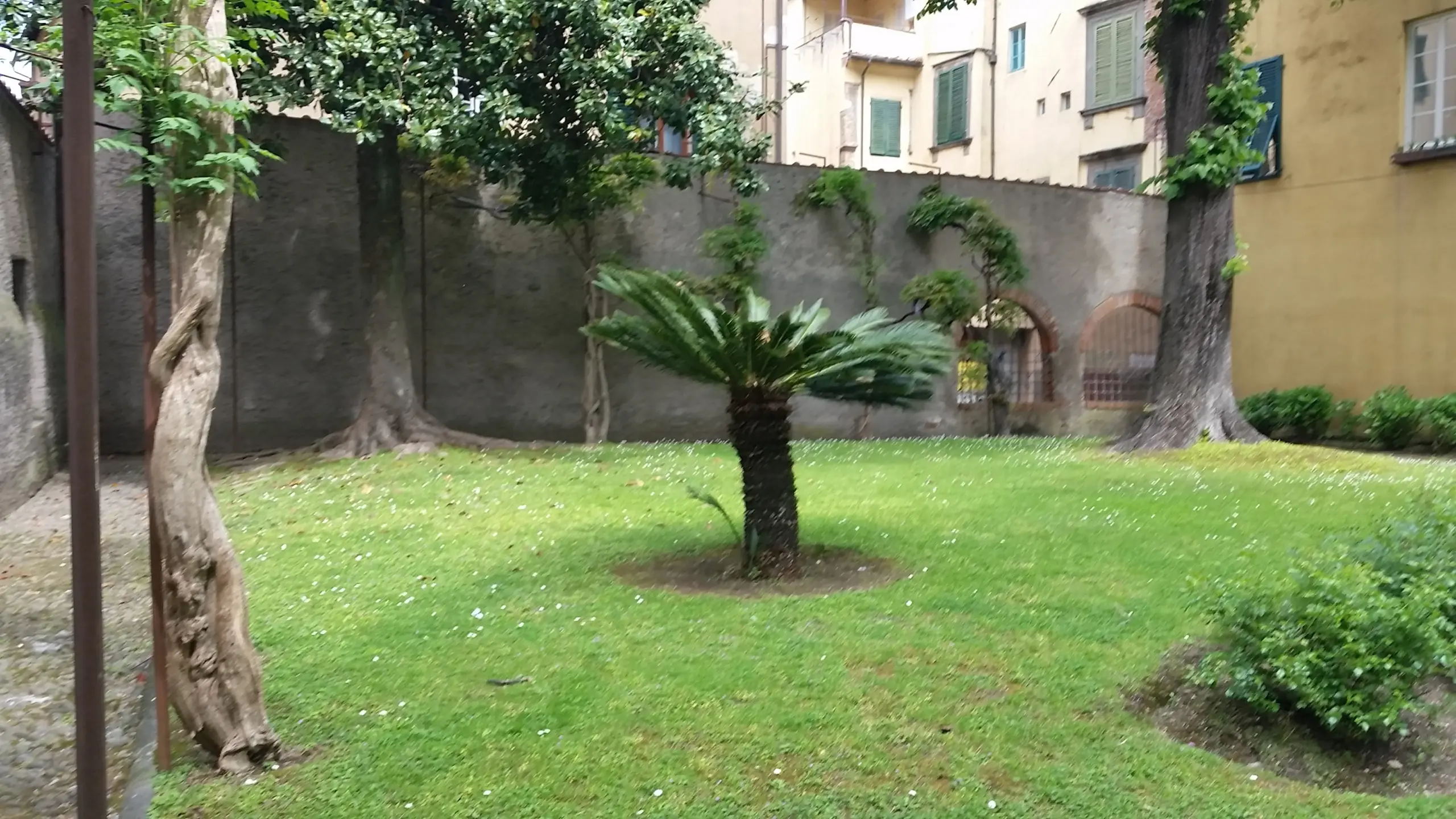 Immagine per Show Room in affitto a Lucca via Giarinetto